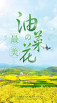 最美油菜花