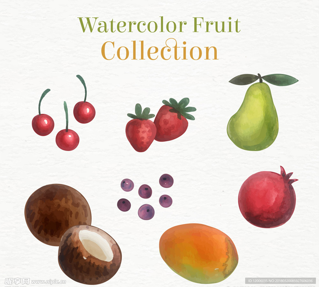 6款彩绘水果设计矢量图