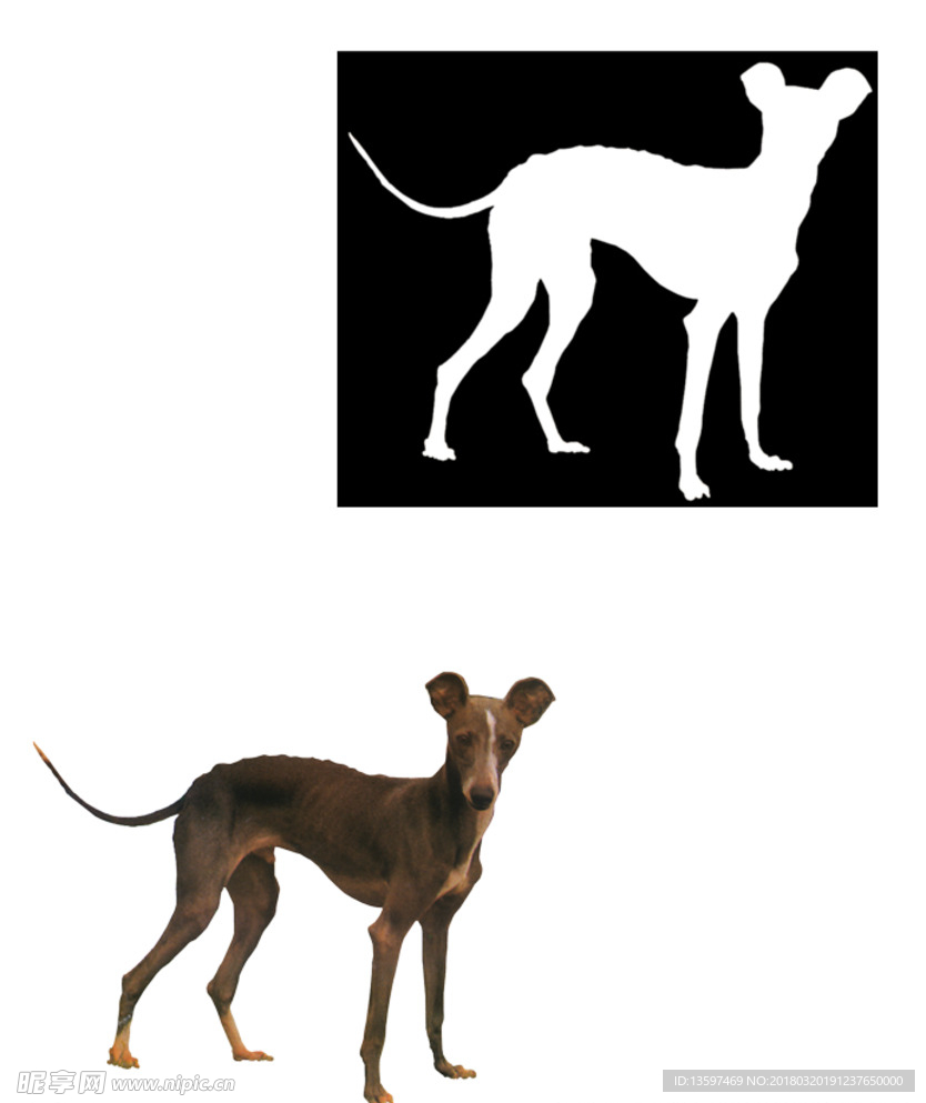 狗