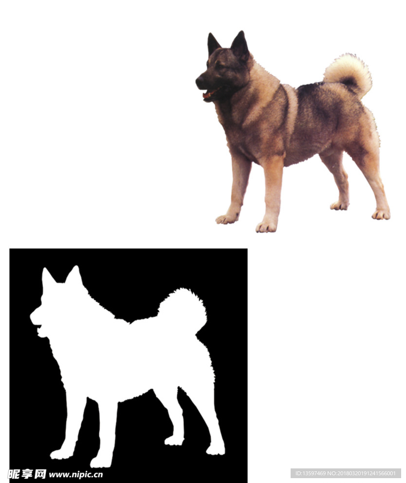 狗