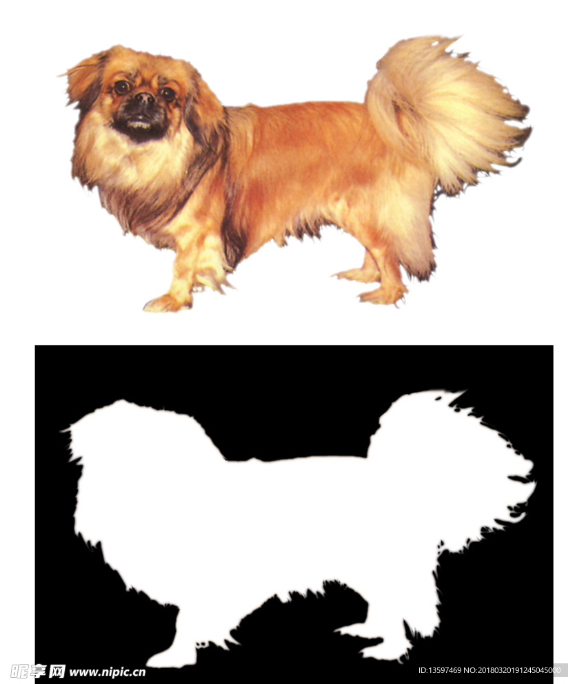 狗