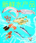 水产品灯箱片