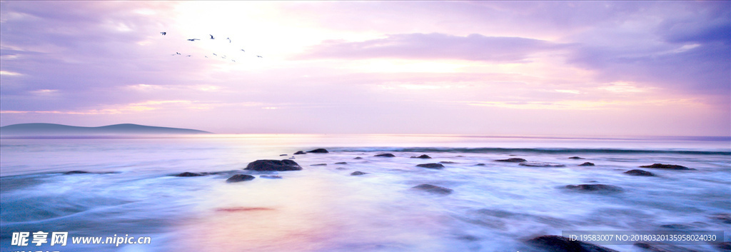 banner 设计 背景