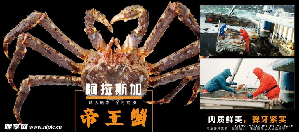 帝王蟹展架