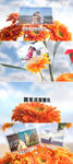 唯美花朵浪漫婚礼AE模版
