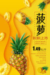 菠萝海报