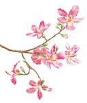 春天桃花节樱花PSD