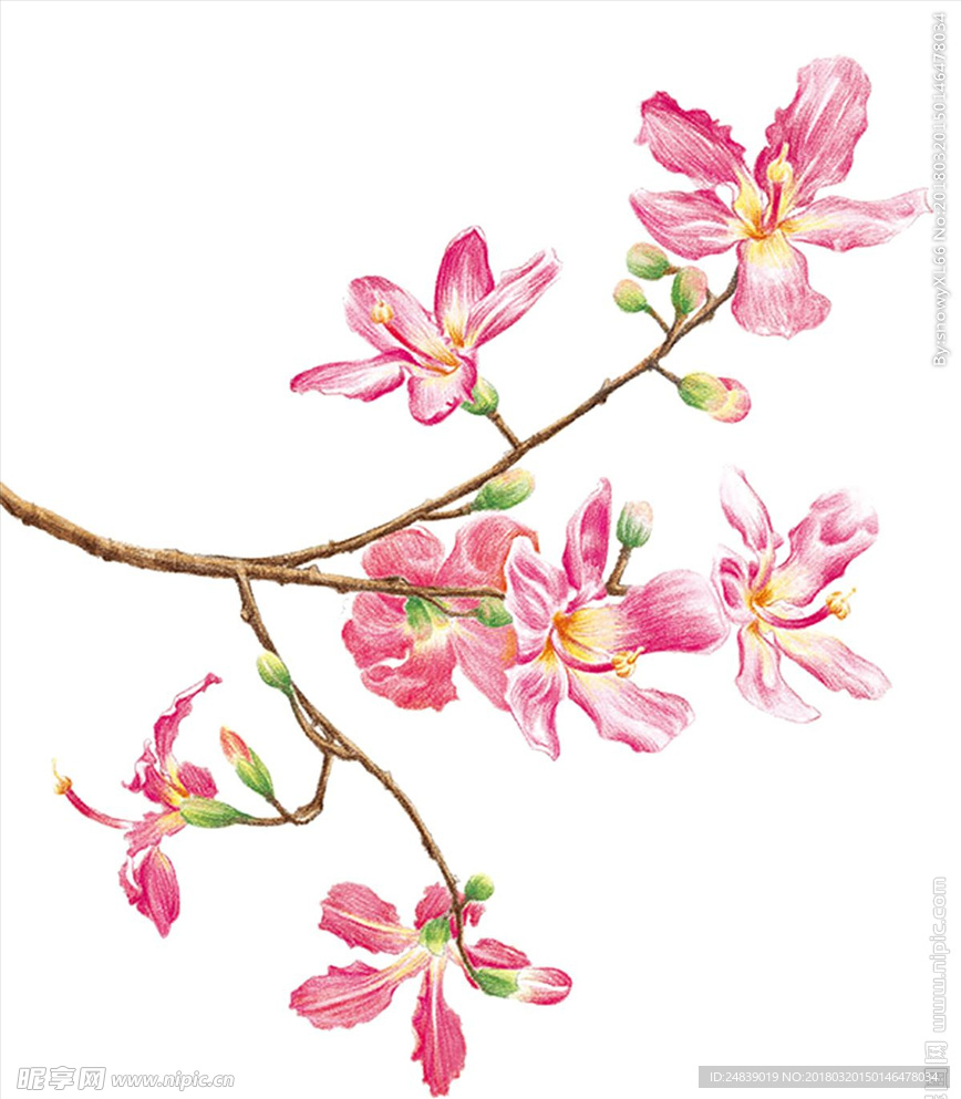 春天桃花节樱花PSD