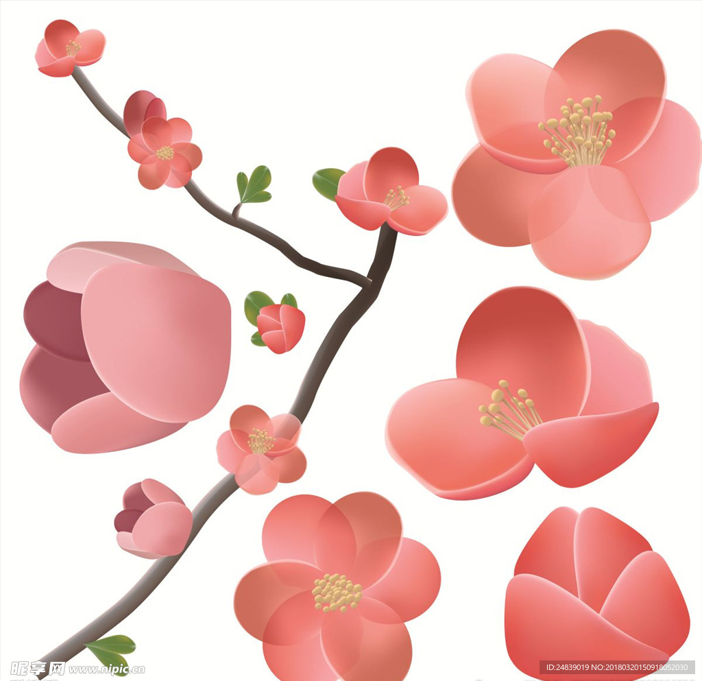 春天桃花节樱花PSD