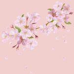 春天桃花节樱花PSD