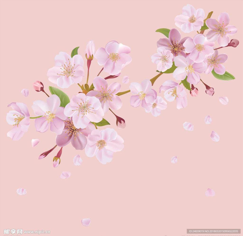 春天桃花节樱花PSD