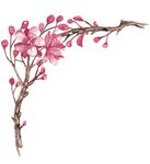 春天桃花节樱花PSD