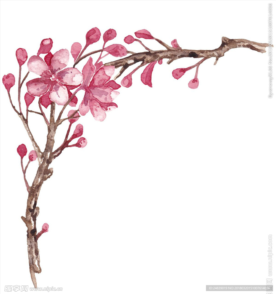 春天桃花节樱花PSD