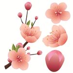 春天桃花节樱花PSD