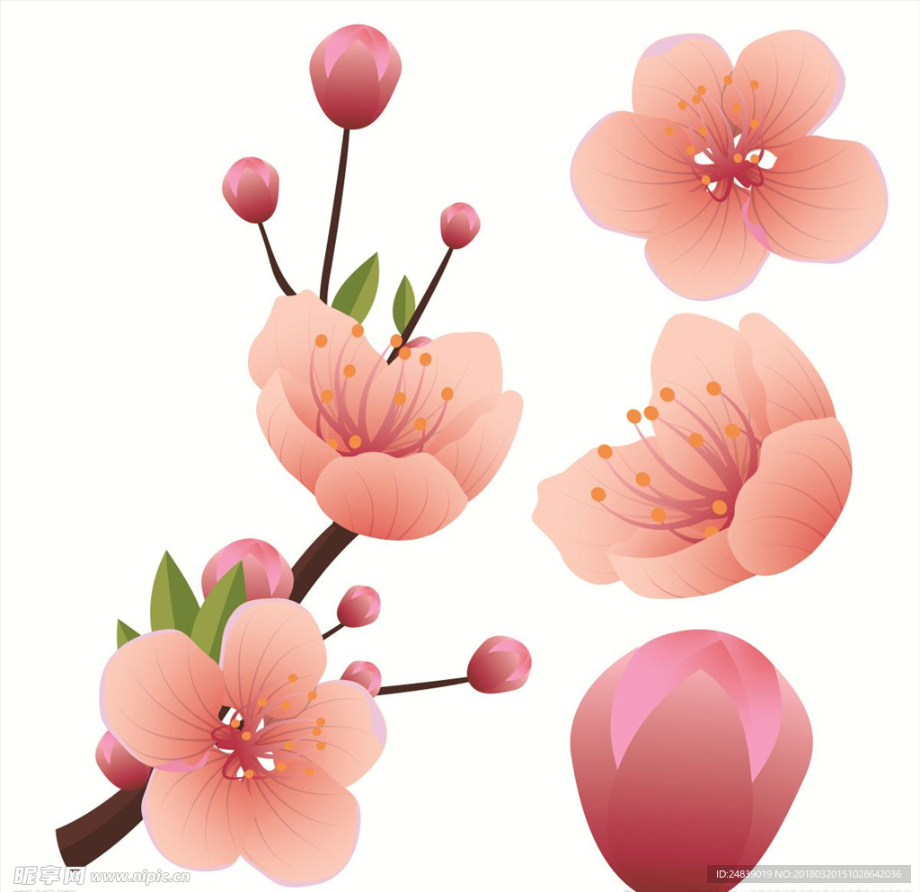春天桃花节樱花PSD