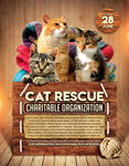 猫咪 宠物海报