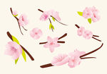 粉色矢量桃花樱花素材
