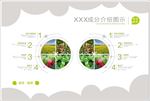 产品分析图 无患子 亚麻荠籽油