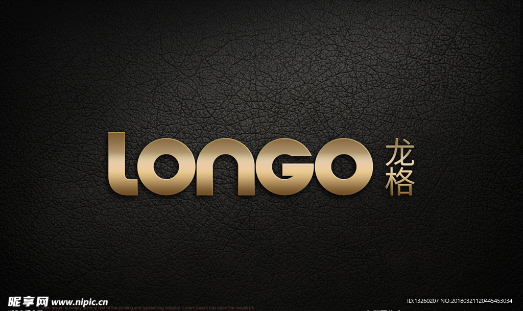 龙格logo应用