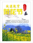 油菜花 油菜花节 醉美油菜花