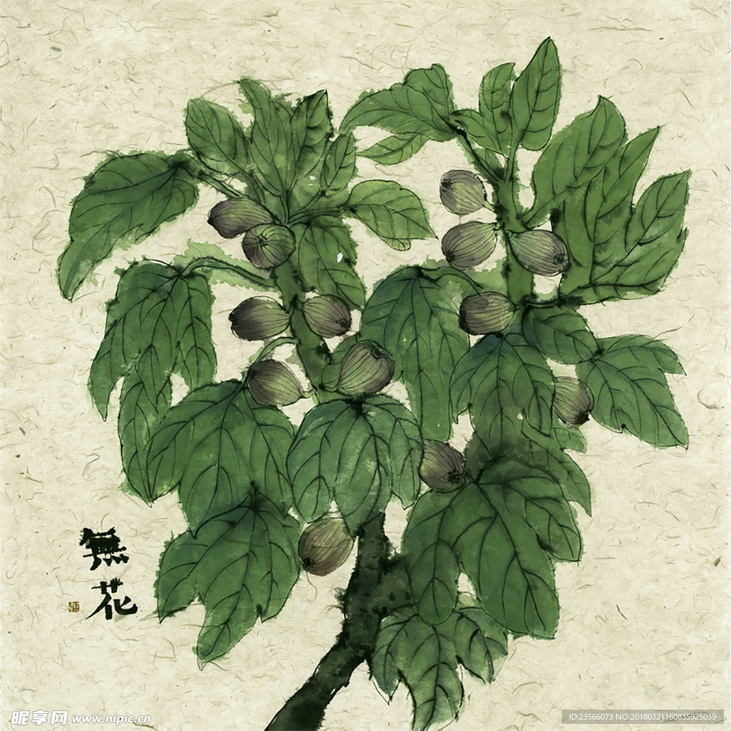 绿色植物树枝装饰画