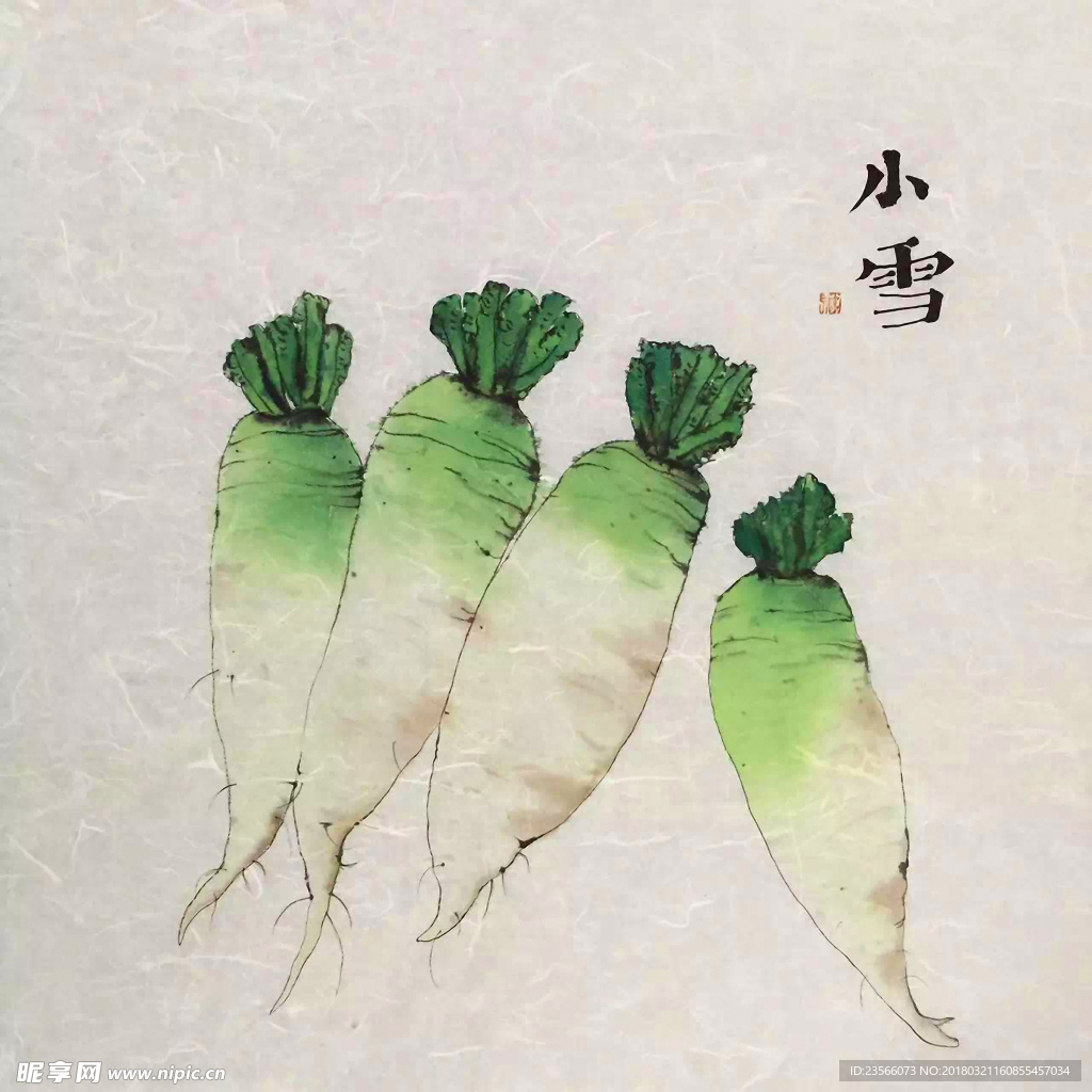 水彩餐厅装饰画萝卜