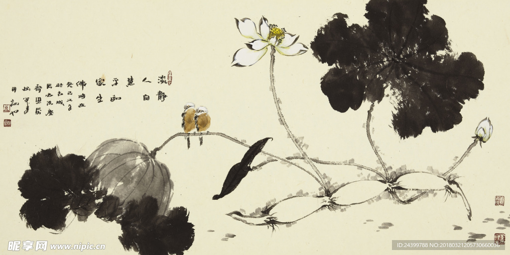 淡静人自慧荷花图