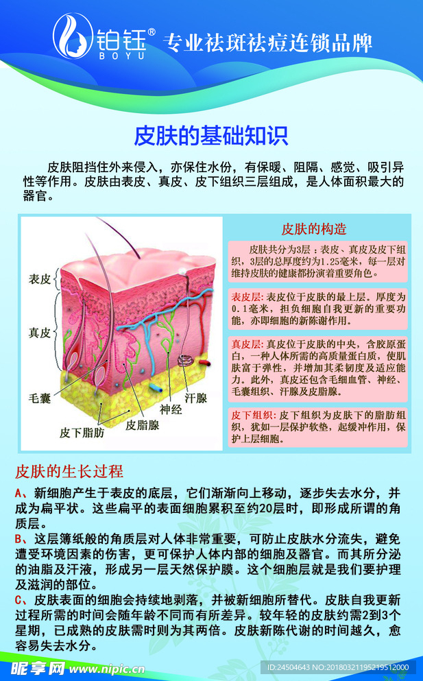 铂钰展架 皮肤问题