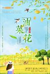 油菜花节