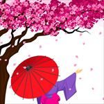 樱花