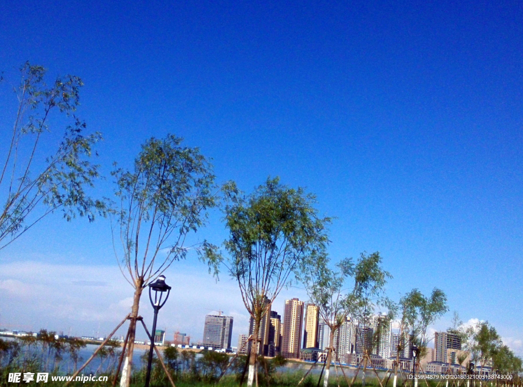 绿树蓝天
