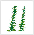 手绘卡通植物