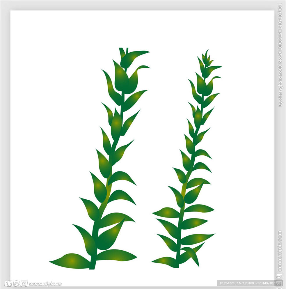 手绘卡通植物