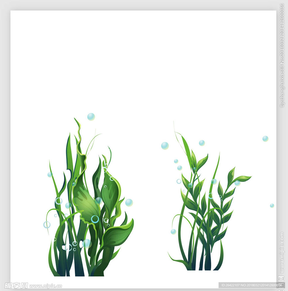 手绘卡通植物