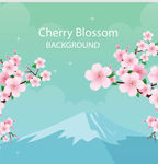 牡丹花 花卷 桃花 春天桃花