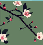 牡丹花 花卷 桃花 春天桃