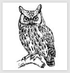 矢量素描春天动物图片