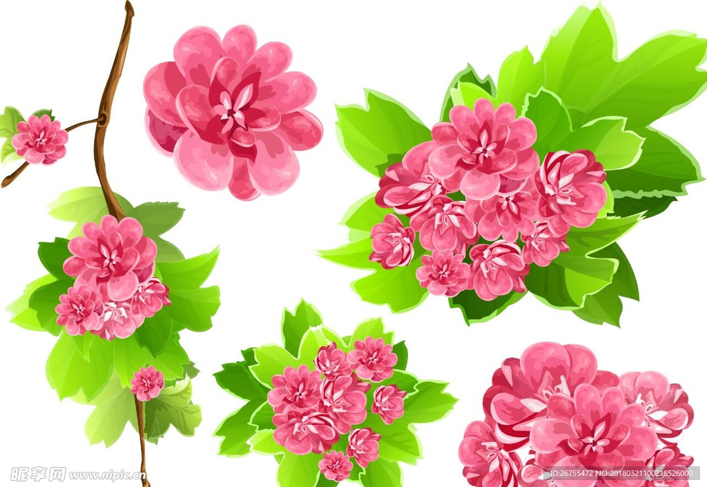 矢量花