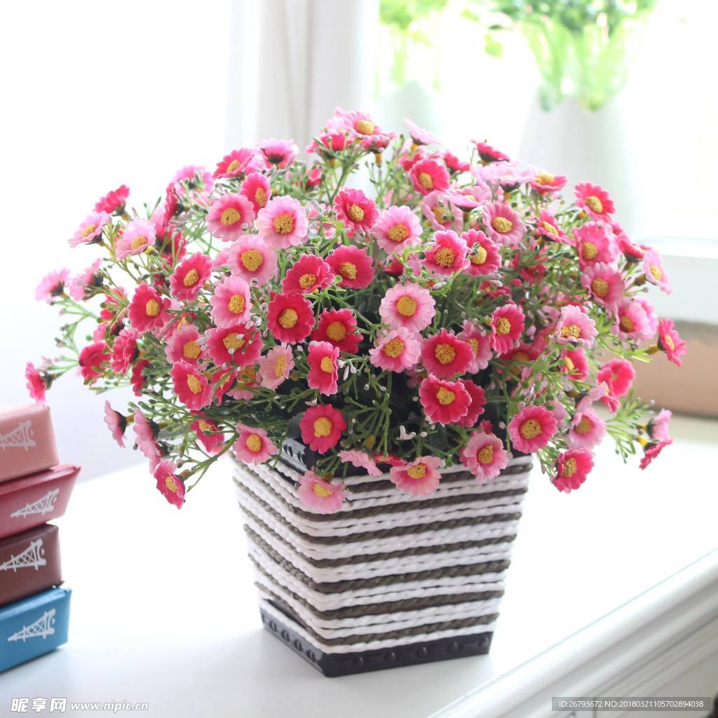 雏菊 花海 植物 自然 花 草