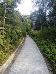 山路