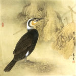 野鸭 国画 设色 工笔花鸟