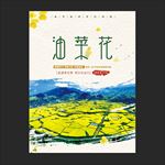 油菜花节