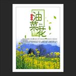 油菜花节