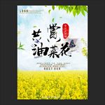 油菜花节