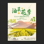 油菜花节