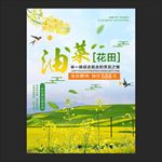 油菜花节