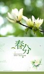 春分节气海报