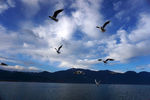 泸沽湖