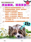 宠物馆宣传页展架