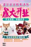 宠物馆宣传页展架